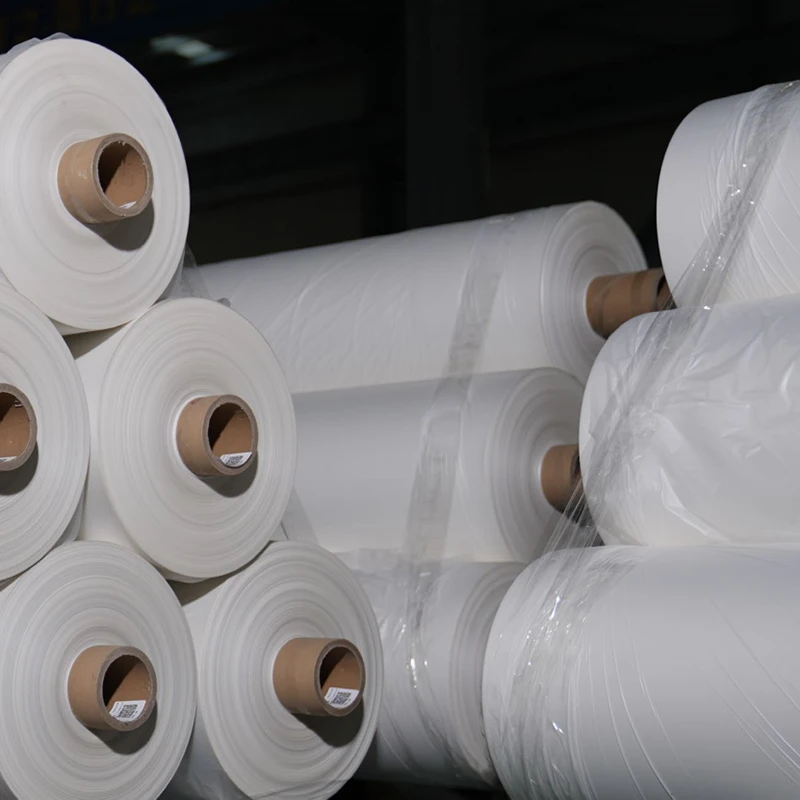 TPU Protection Film